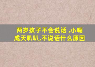 两岁孩子不会说话 ,小嘴成天叭叭,不说话什么原因